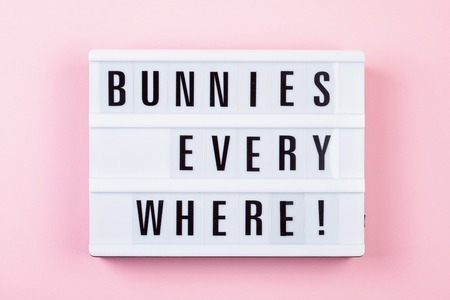 Light box over the pastel background with the text Bunnies everywhere. Easter celebration conceptの写真素材