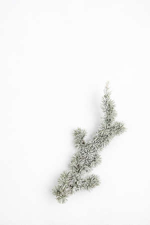 Christmas tree branch  on white background, flat lay, top view, copy space. Winter holidays, xmas greeting cardの写真素材