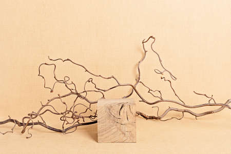 Empty wooden podium for products presentation. Display stand over neutral color background. Natural pedestal with nature elementsの写真素材