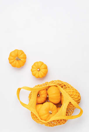 Organic pumpkins crop. Thanksgiving, halloween holidays preparation. Buy local concept. Sustainable, plastic free, zero waste lifestyle. Top view, flat layの写真素材