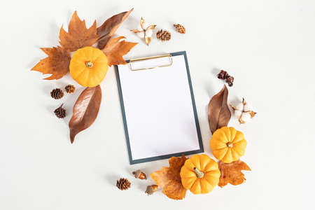Autumn flat lay composition. Pumpkins, dried leaves and nuts, clipboard. Autumn, fall concept. Mockup, top view, copy spaceの写真素材