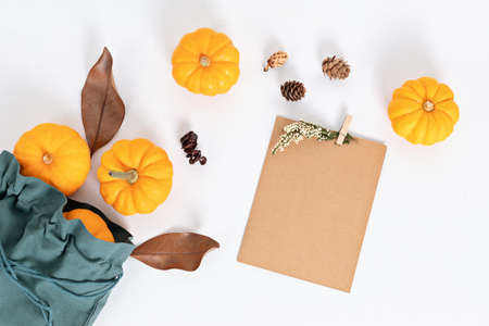 Autumn flat lay composition. Pumpkins, dried leaves and nuts. Autumn, fall concept. Mockup, top...