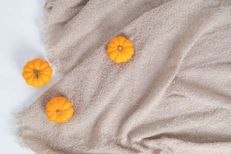 Autumn flat lay composition. Pumpkins, dried leaves, plaid. Autumn, fall concept. Mockup, top view, copy spaceの写真素材