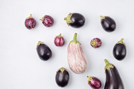 Varieties of organic eggplant crop. Buy local concept. Sustainable, plastic free, zero waste...