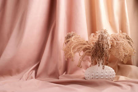 Dried natural herbs over pink and beige pastel backgroundの写真素材