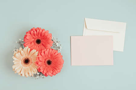 Gerbera flowers with blank card and envelopes over light green background.の写真素材