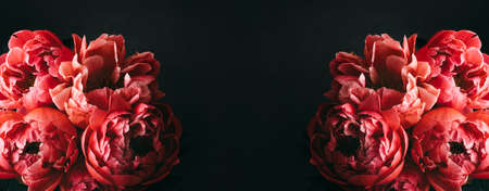 Pink peonies over dark background. Moody floral baroque style banner with copy spaceの写真素材