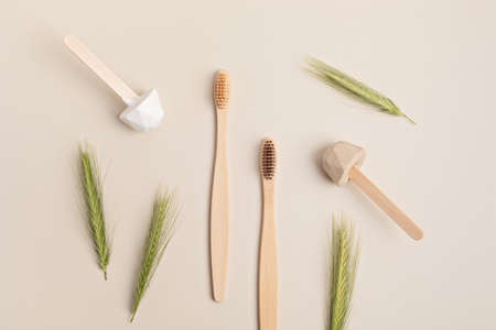 Bamboo toothbrush and solid organic toothpaste. Zero waste sustainable lifestyle idea