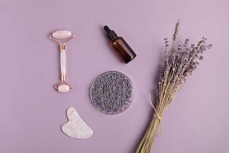 Rose quartz face roller, gua sha stone, essential oil and lavenderの写真素材