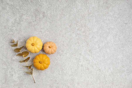 Collection of handmade plaster pumpkins. Autumn seasonal holidays background