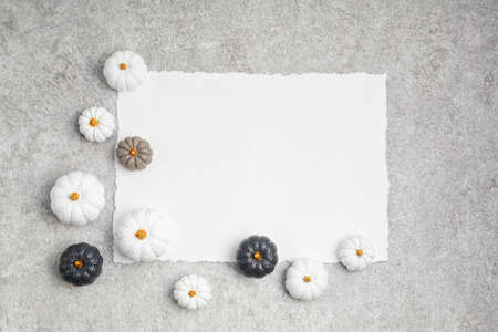 Collection of handmade plaster pumpkins. Autumn seasonal holidays backgroundの写真素材