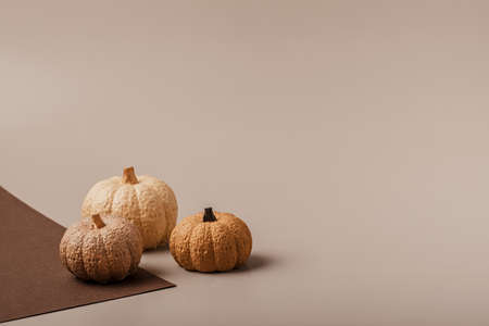 Flat lay with handmade painted gypsum pumpkins and copy space. Autumn holidays card mockupの写真素材