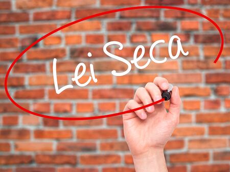 Man Hand writing Lei Seca (Prohibition Alcohol Law n Portuguese) with black marker on visual screen. Isolated on bricks. Business, technology, internet concept. Stock Photoの写真素材