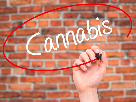 Man Hand writing Cannabis with black marker on visual screen. Isolated on bricks. Business, technology, internet concept. Stock Photoの写真素材