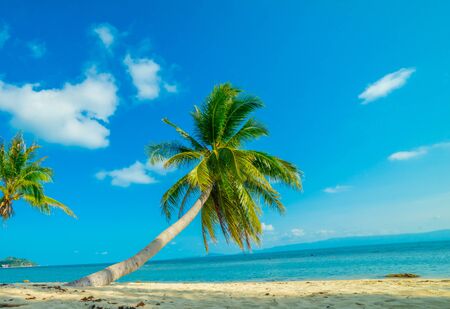 Beautiful sunny beach. View of nice tropical beach with palms around. Holiday and Vacation conceptの写真素材