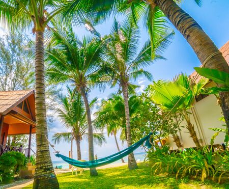Beautiful beach. Hammock between two palm trees on the beach. Holiday and vacation conceptの写真素材