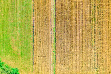 Aerial view of agricultural fields in Europe, Poland. Beautiful landscape. Captured from above with...