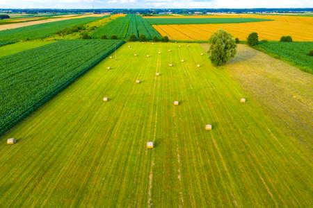 Aerial view of agricultural fields in Europe, Poland. Beautiful landscape. Captured from above with a droneの写真素材