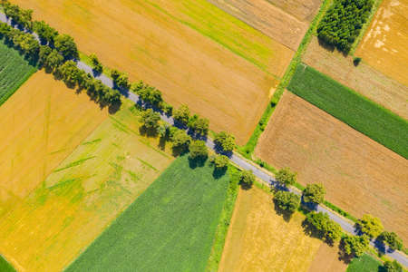 Green fields aerial view before harvest at summer. Road aerial