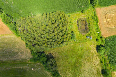 Aerial top view photo from flying drone of a land with sown green fields in countryside in spring...