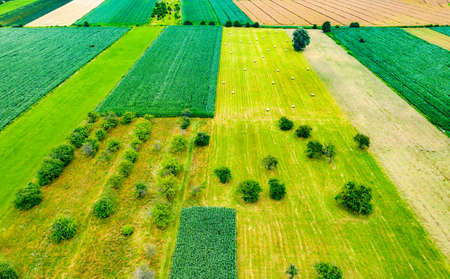 Aerial top view photo from flying drone of a land with sown green fields in countryside in spring...