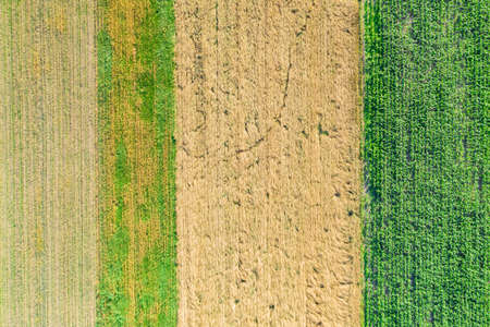 Aerial top view photo from flying drone of a land with sown green fields in countryside in spring...