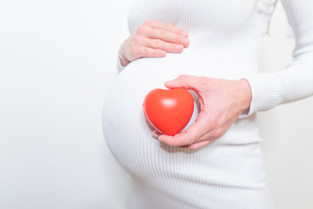 Pregnancy, maternity, family - concept, pregnant woman and heart symbol outdoors in sunny summer dayの写真素材