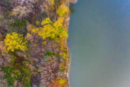 Autumn forest near the lake. Yellow trees and blue water. Top view. Drone shot. Aerial photo