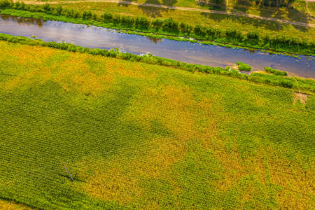 aerial drone shoot. Flying over a beautiful green forest in a rural landscape. Top view of trees in forest background. Drone photography. Forest river, rural road.の写真素材