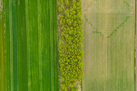 Farmland from above - aerial image of a lush green filed