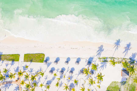 Aerial view of tropical sandy beach with palms and umbrellas at sunny day. Summer holiday on Indian Ocean, Zanzibar, Africa. Landscape with palm trees, hotels, pool, white sand, azure sea. Top viewの写真素材
