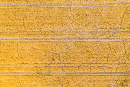 4k video. Blooming yellow rapeseed field aerial drone view photographed during a beautiful spring sunrise. Agriculture and biotechnology industry.の写真素材