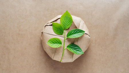 Eco, zero waste, plastic free and saving energy minimal concept from sprout with green leaves growing from recycled craft paper top view.の素材
