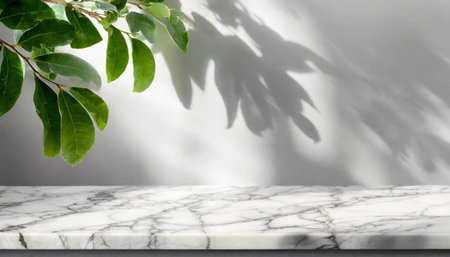 Marble table with tree shadow drop on white wall background for mockup product displayの素材