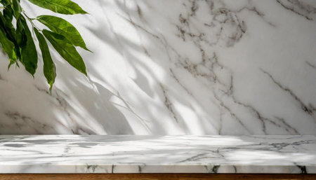 Marble table with tree shadow drop on white wall background for mockup product displayの素材