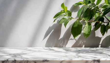 Marble table with tree shadow drop on white wall background for mockup product displayの素材