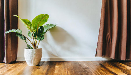 Plant against a white wall mockup. White wall mockup with brown curtain, plant and wood floor. 3Dの素材