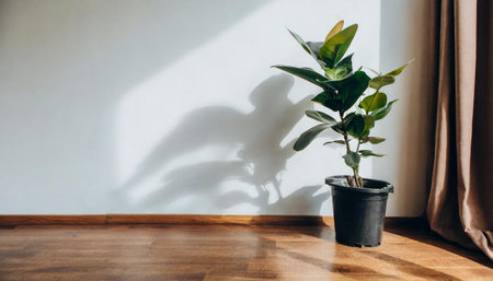 Plant against a white wall mockup. White wall mockup with brown curtain, plant and wood floor. 3D illustrationsの素材