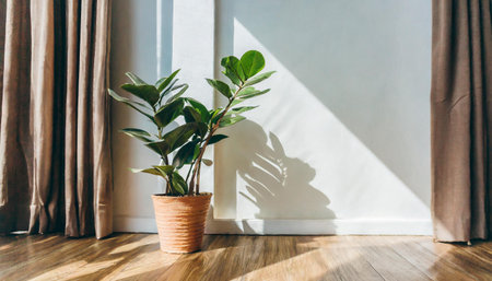 Plant against a white wall mockup. White wall mockup with brown curtain, plant and wood floor. 3D illustrationsの素材
