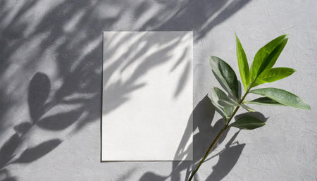 vertical sheets of textured white paper against a soft gray table background. the natural light creates subtle shadows from an exotic plant, enhancing the mockup overlay in a horizontalの素材
