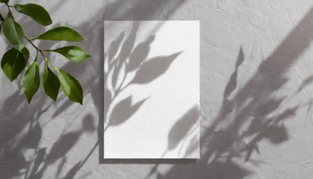 vertical sheets of textured white paper against a soft gray table background. the natural light creates subtle shadows from an exotic plant, enhancing the mockup overlay in a horizontalの素材