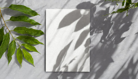 vertical sheets of textured white paper against a soft gray table background. the natural light creates subtle shadows from an exotic plant, enhancing the mockup overlay in a horizontalの素材
