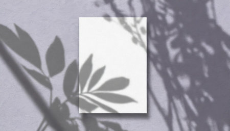 vertical sheets of textured white paper against a soft gray table background. the natural light creates subtle shadows from an exotic plant, enhancing the mockup overlay in a horizontalの素材