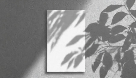 vertical sheets of textured white paper against a soft gray table background. the natural light creates subtle shadows from an exotic plant, enhancing the mockup overlay in a horizontalの素材