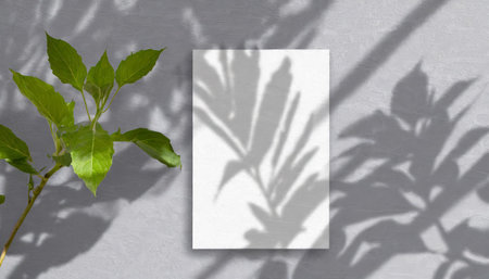 vertical sheets of textured white paper against a soft gray table background. the natural light creates subtle shadows from an exotic plant, enhancing the mockup overlay in a horizontalの素材