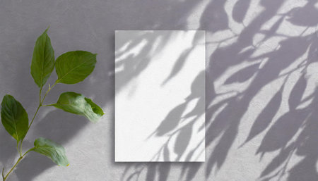 vertical sheets of textured white paper against a soft gray table background. the natural light creates subtle shadows from an exotic plant, enhancing the mockup overlay in a horizontalの素材