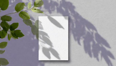 vertical sheets of textured white paper against a soft gray table background. the natural light creates subtle shadows from an exotic plant, enhancing the mockup overlay in a horizontalの素材