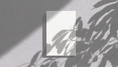 vertical sheets of textured white paper against a soft gray table background. the natural light creates subtle shadows from an exotic plant, enhancing the mockup overlay in a horizontalの素材