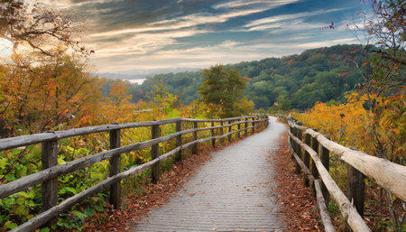 Beautiful green summer forest. Spring background, backdropの素材