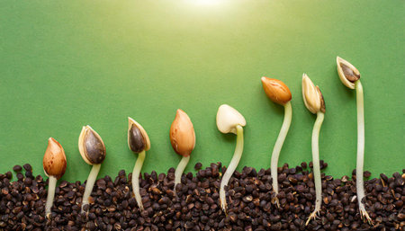 Sequence of seed germination on green backgroundの素材